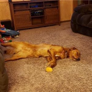 Meet your Posher, Mary